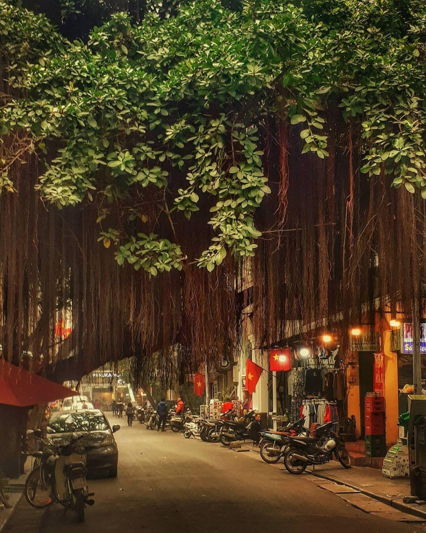 Hanoi Heritage - The Old Quarter