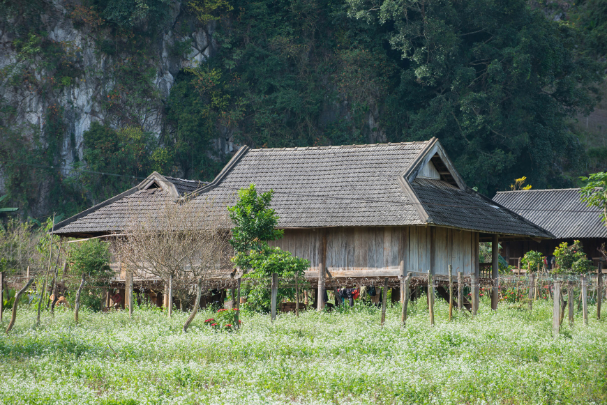 Moc Chau