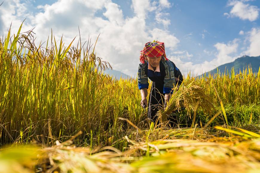 mu cang chai vietnam tourism