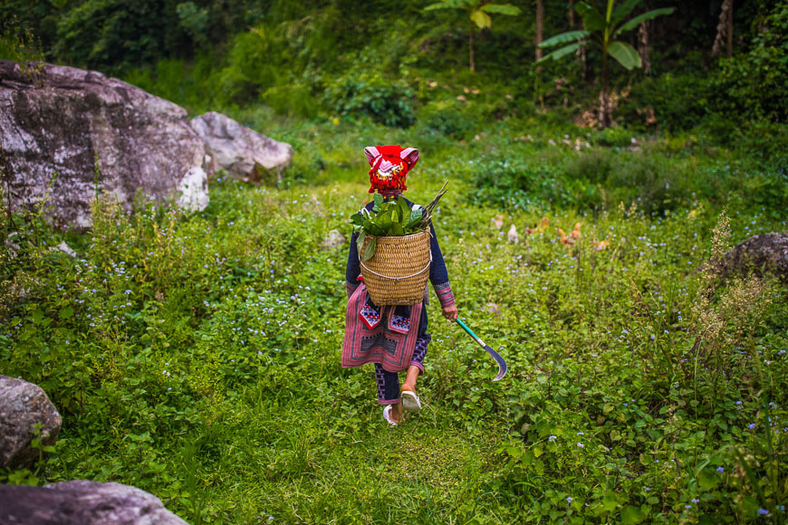 sapa herbal baths